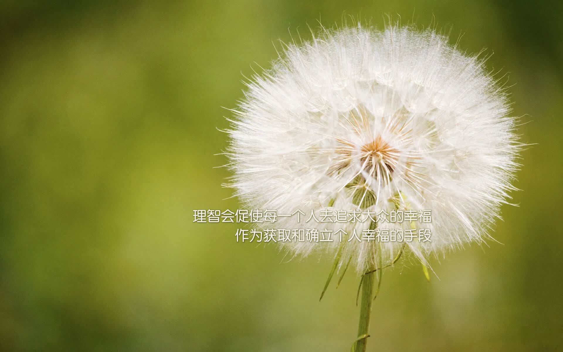 人工智能电影在线播放国语版（人工智能电影在线观看国语版）